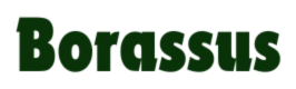 Borassus Electronics LLC