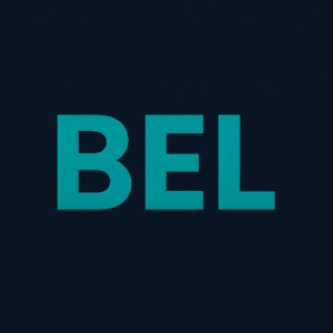 Borassus Electronics LLC