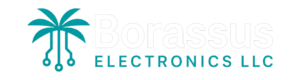 Borassus Electronics LLC