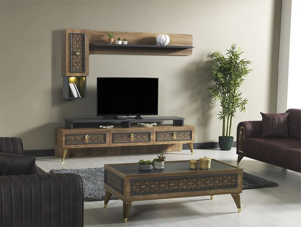 Borassus Electronics LLC